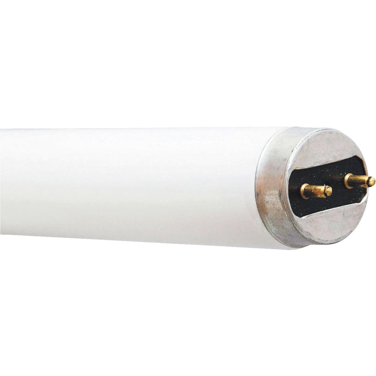 30W 36" T8 CW FLUOR TUBE