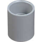 Carlon PVC 3/4 In. Socket Conduit Coupling Image 1