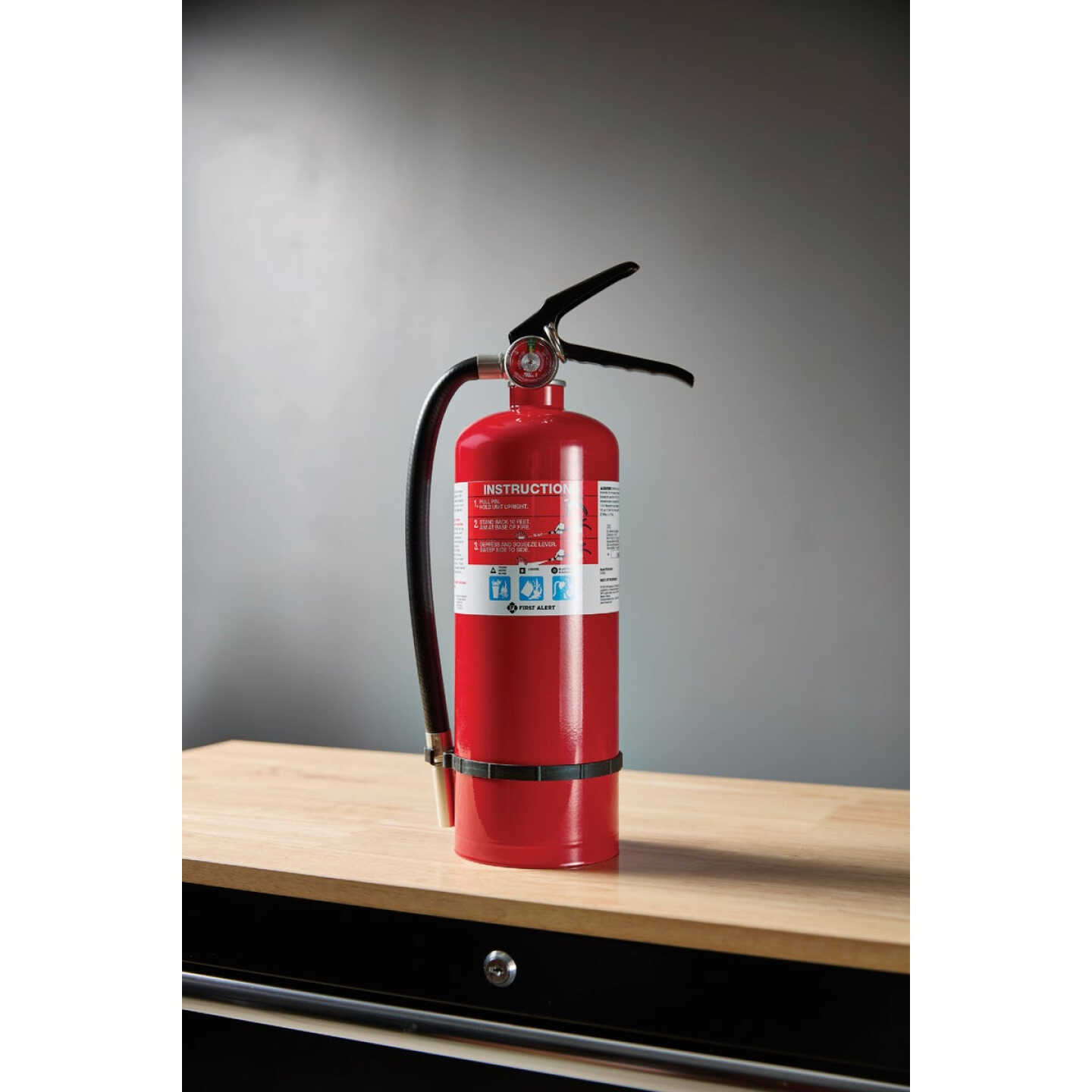 First Alert 2A 10BC Fire Extinguisher Image 4