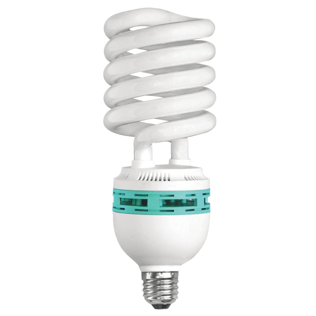 Compact Fluorescent Light Bulbs