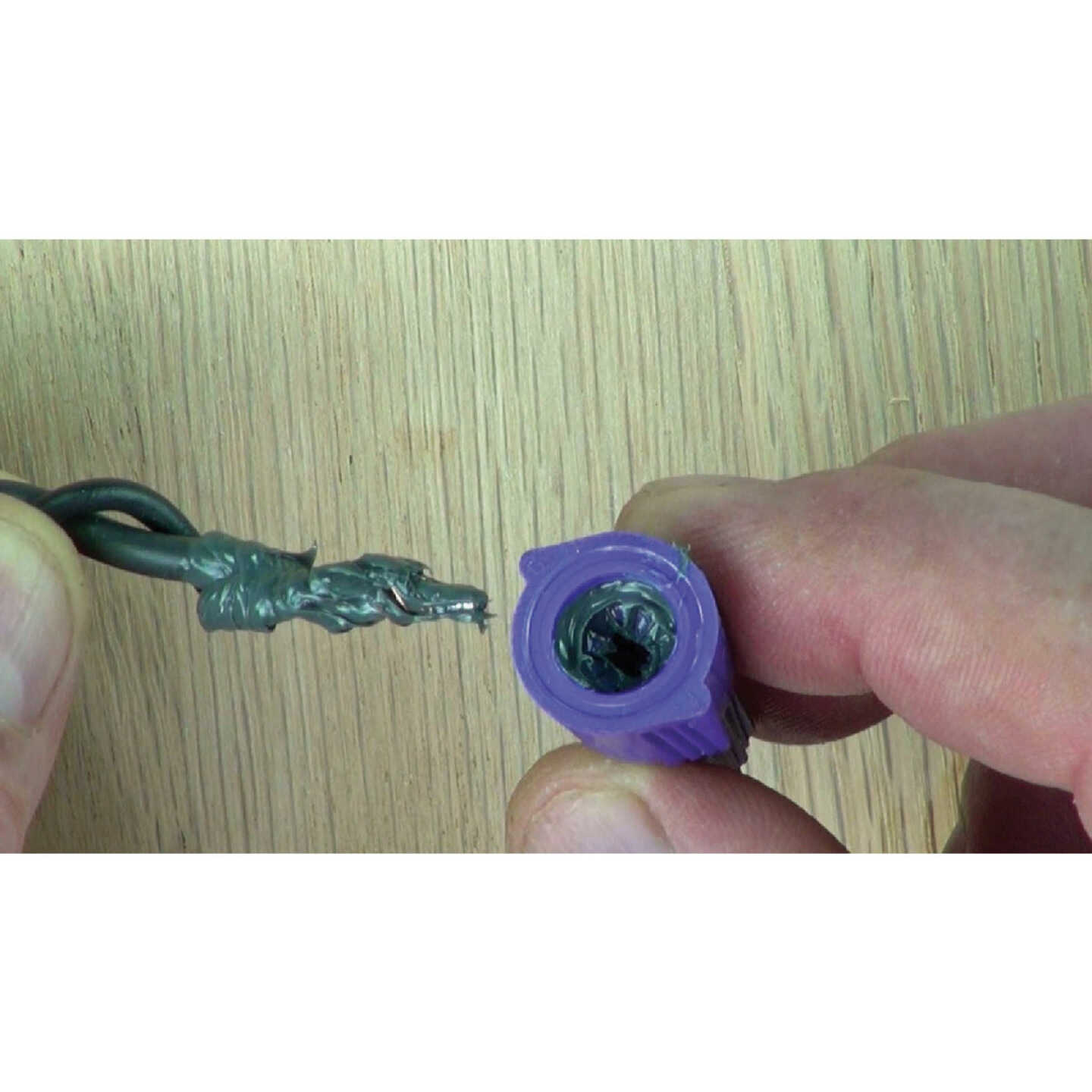 Ideal Large Purple Aluminum to Copper Wire Connector (2-Pack) Image 3