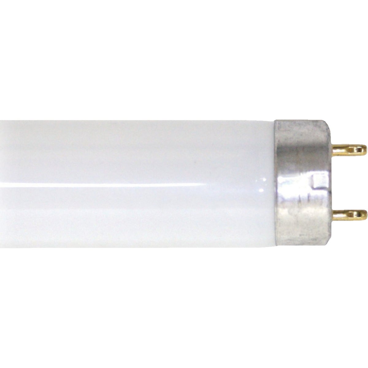 Philips ALTO 30W 36 In. Cool White T8 Medium Bi-Pin Fluorescent Tube Light Bulb Image 1