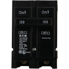 Eaton BR 100A Double-Pole Standard Trip Circuit Breaker Image 2