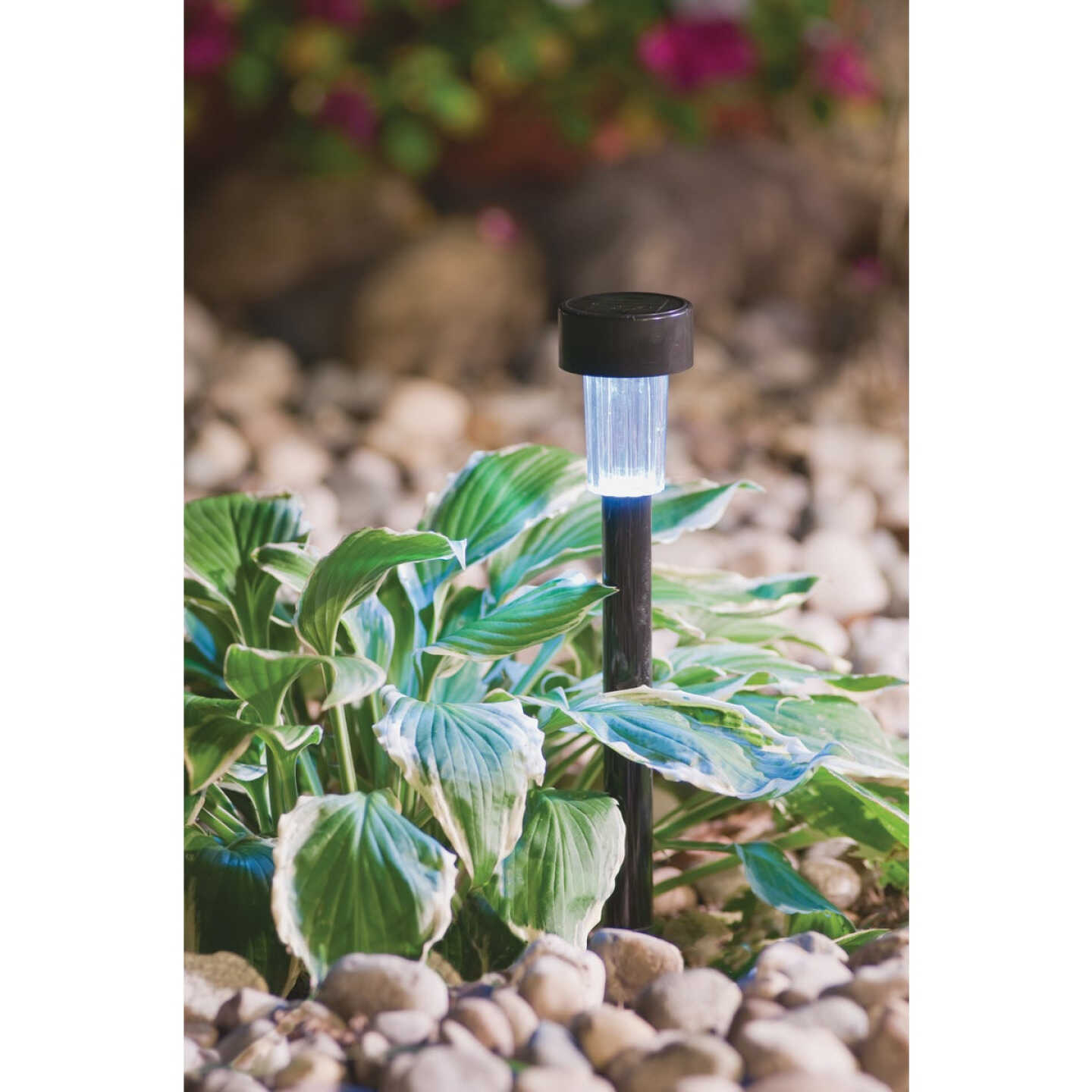 Outdoor Expressions Black 2.10 Lumens Metal Mini Solar Path Light Image 2