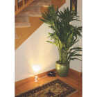 WHT MR11 HAL SPOT LIGHT Image 2