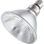 70W PAR38 FLOOD BULB Image 2