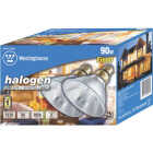 70W PAR38 FLOOD BULB Image 1