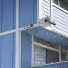 Wagan Tech Black Motion Activated Dusk To Dawn 1000 Lm. Solar Wall Shed Light Image 3