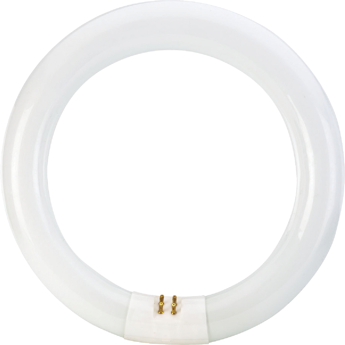 Philips 22W 8 In. Bright White T9 4-Pin Circline Fluorescent Tube Light Bulb Image 3