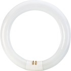 Philips 22W 8 In. Bright White T9 4-Pin Circline Fluorescent Tube Light Bulb Image 3