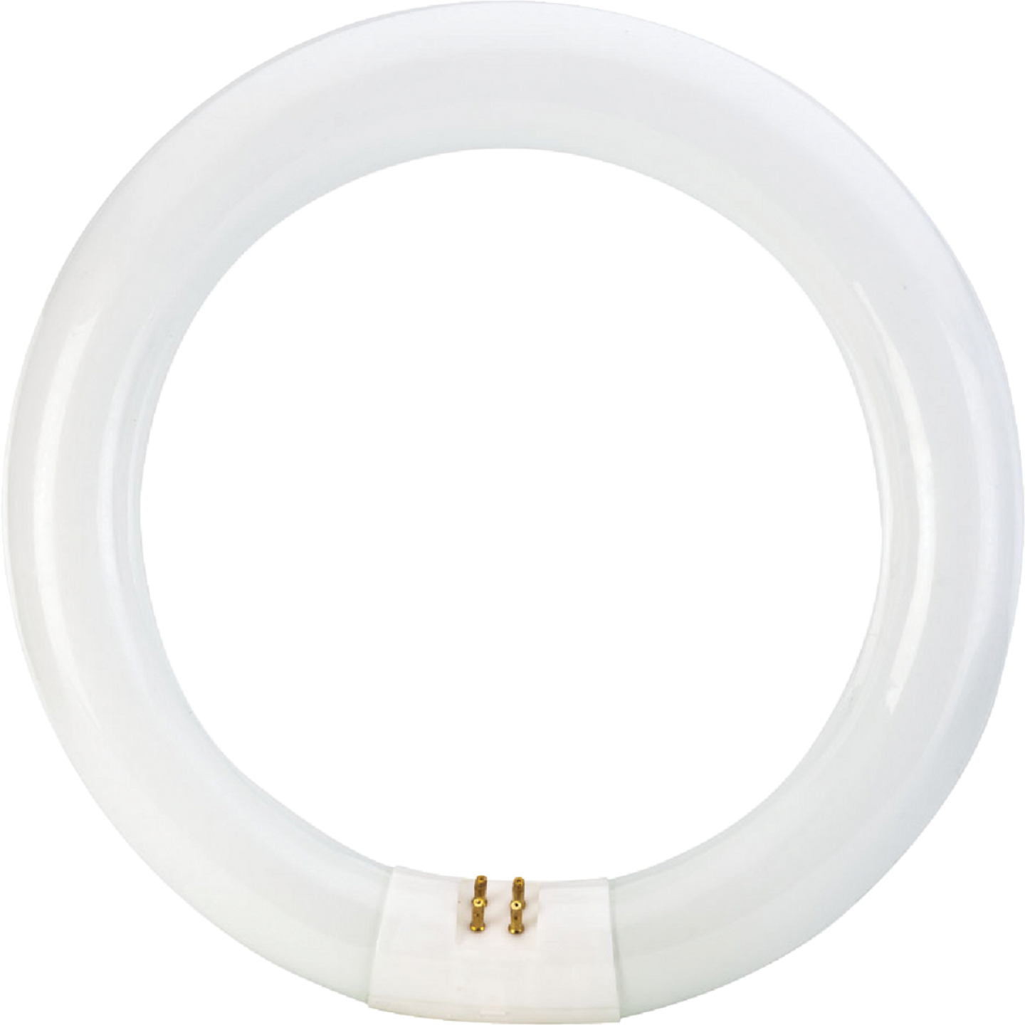 Philips 22W 8 In. Bright White T9 4-Pin Circline Fluorescent Tube Light Bulb Image 3