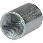 Halex Rigid 3/4 In. Threaded Conduit Coupling Image 1