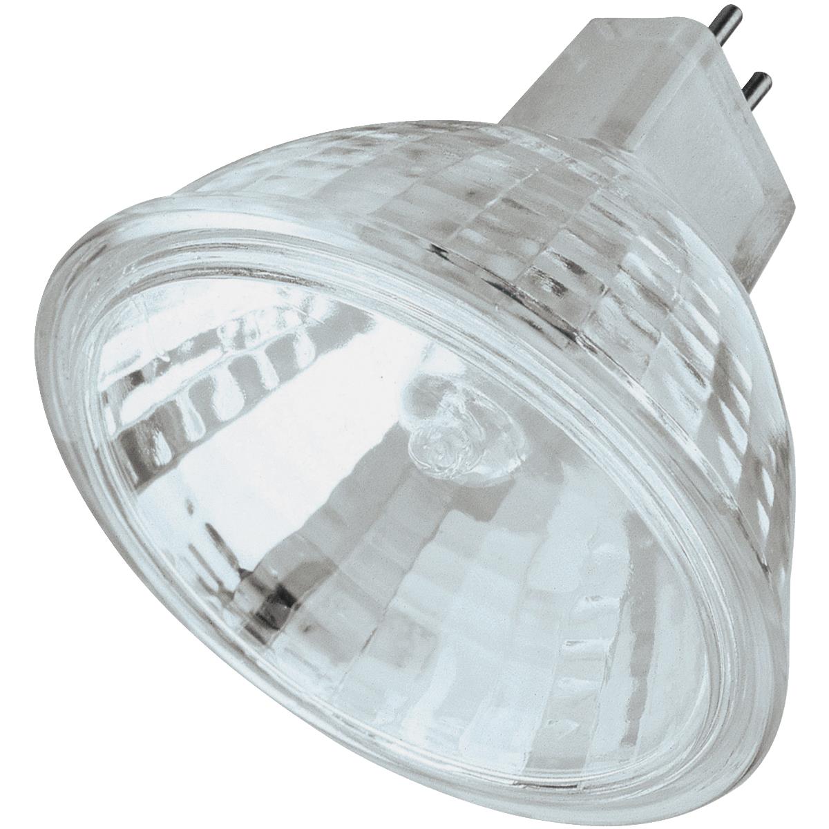 Halogen Light Bulbs