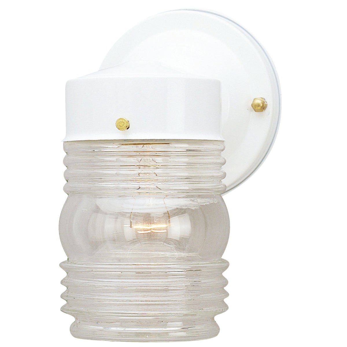 Canarm White Incandescent Type A Outdoor Wall Light Fixture