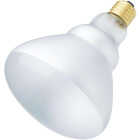 65W REFLECTOR FLOOD BULB Image 1