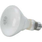 65W BR30 FLD REFLEC BULB Image 2