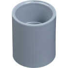 Carlon PVC 3 In. Socket Conduit Coupling Image 1