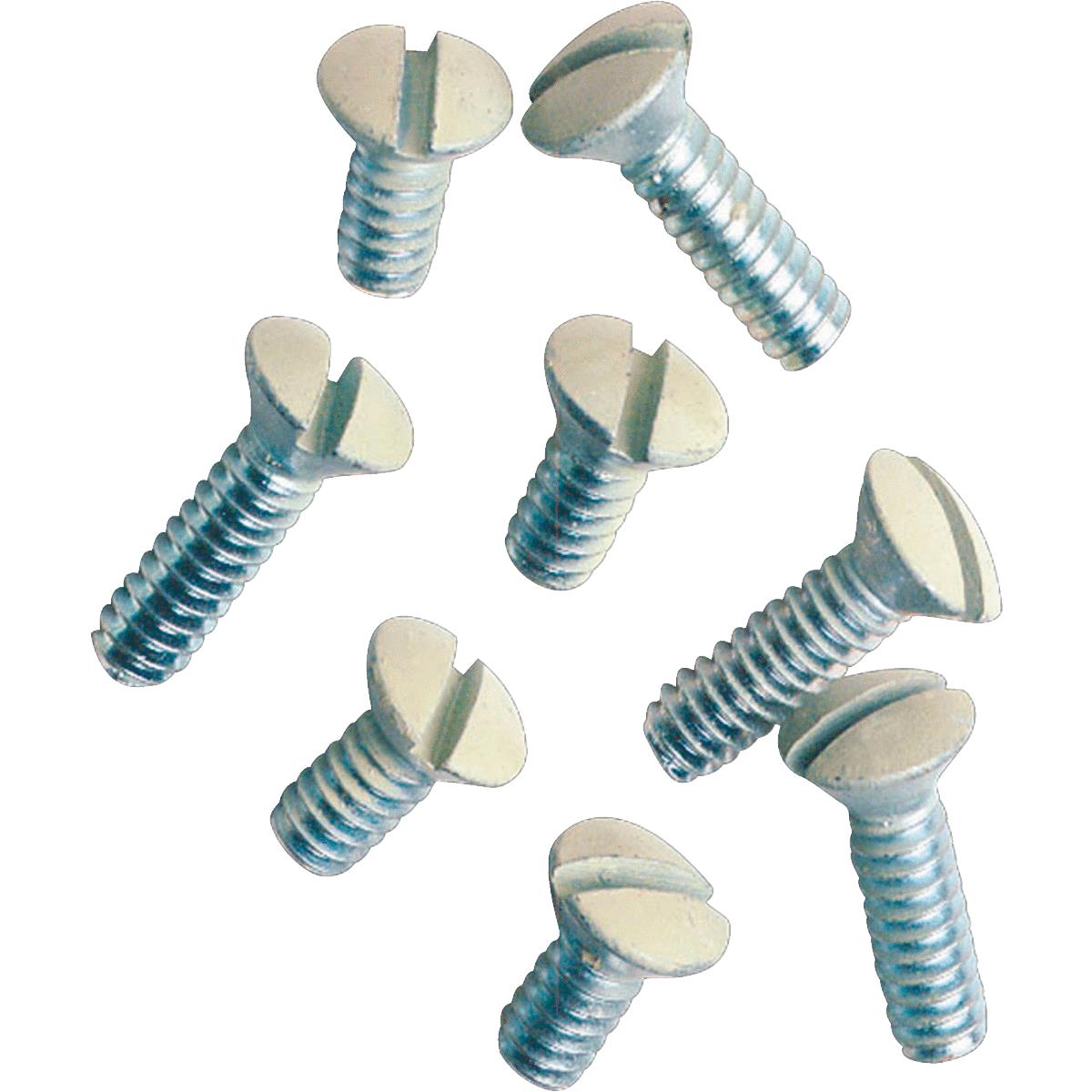 IV WALL PLATE SCREW
