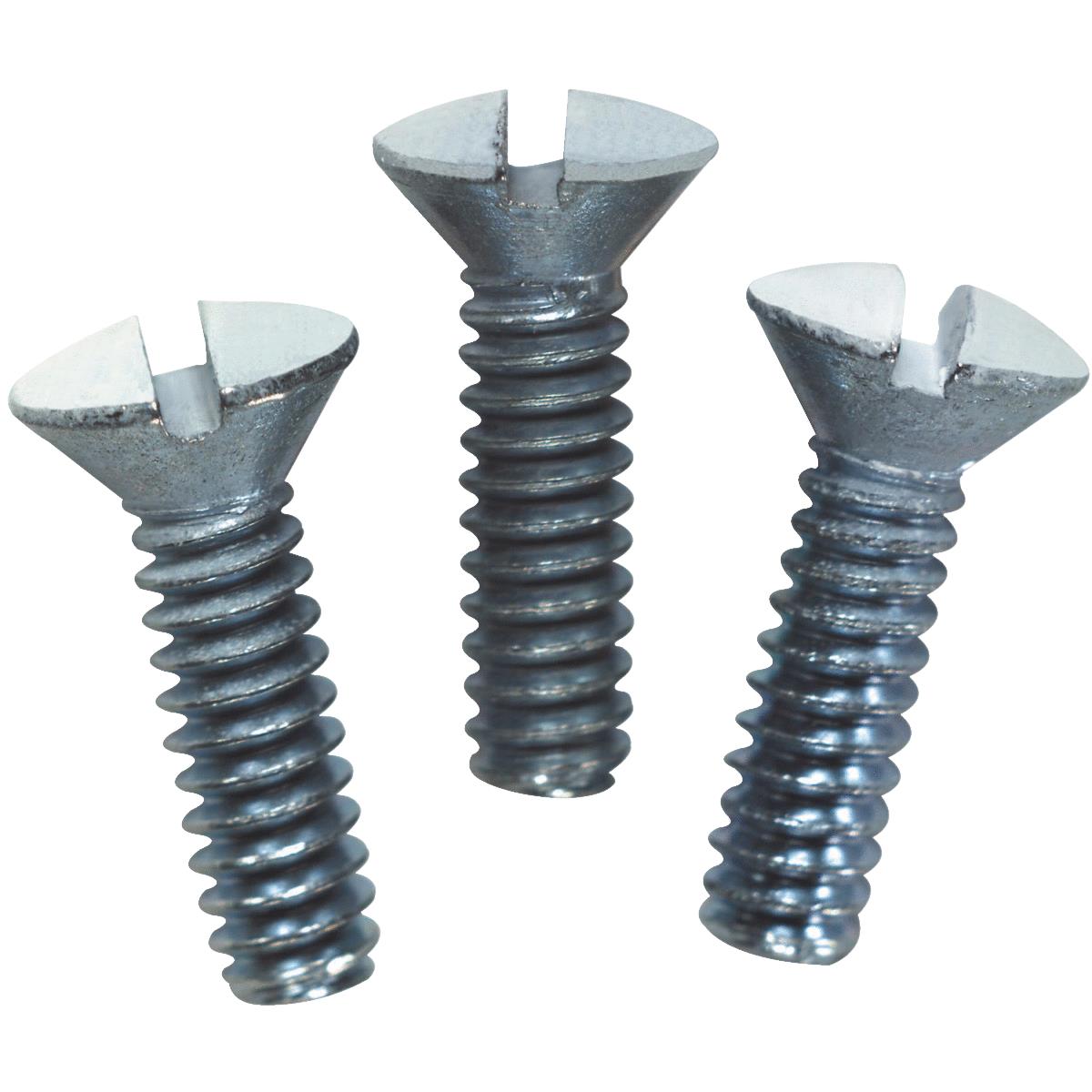 WHT WALL PLATE SCREW