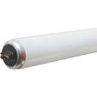 110W 8' T12CW/HO TUBE Image 1