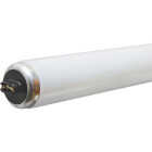 75W60"T12CW/HO TUBE Image 1