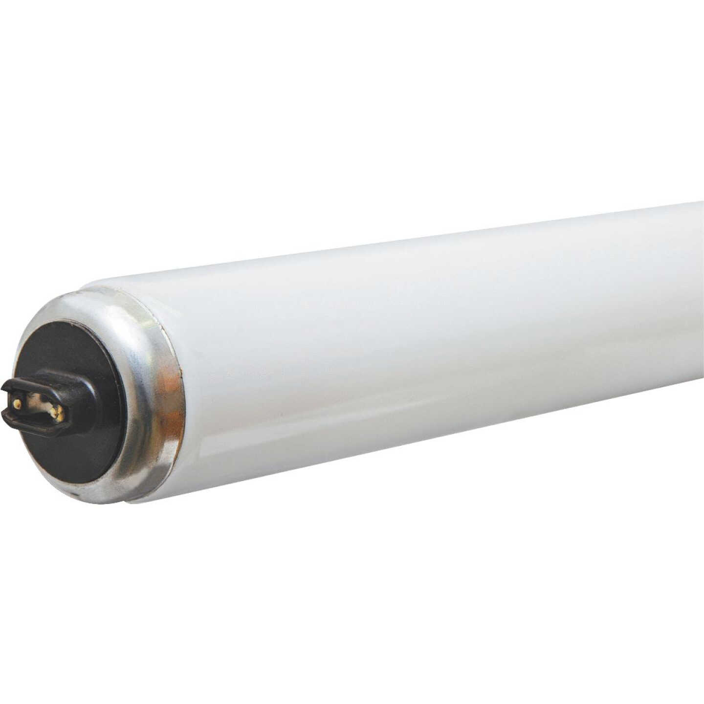 75W60"T12CW/HO TUBE Image 1