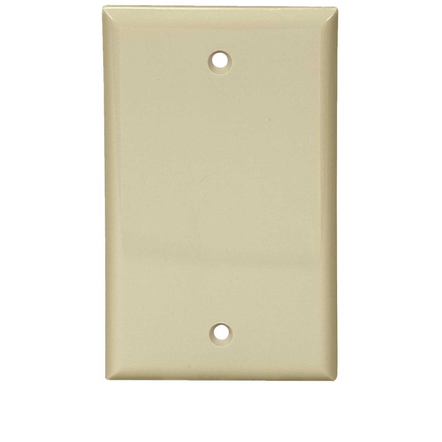 IV BLANK WALL PLATE Image 1