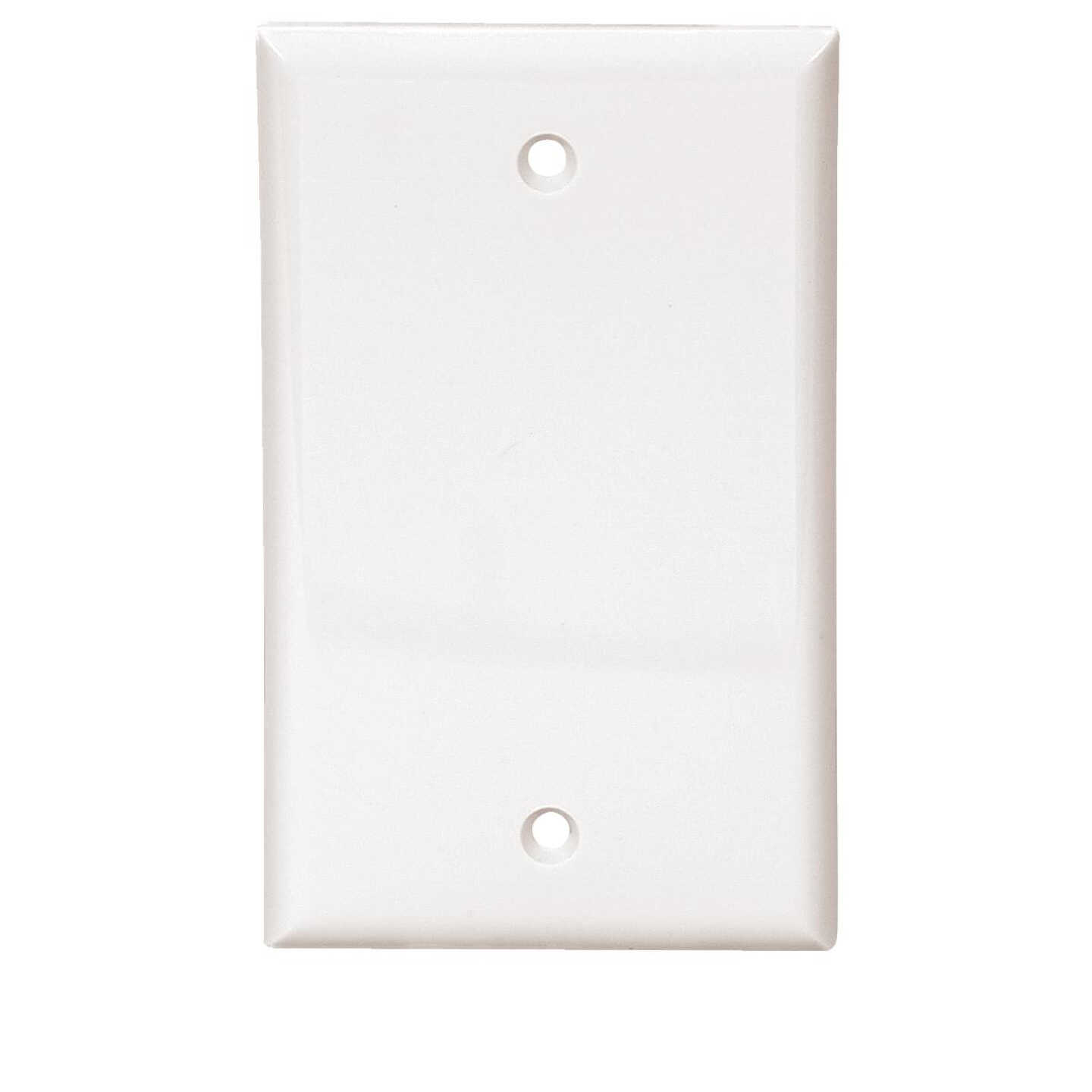 WHT BLANK WALL PLATE Image 1