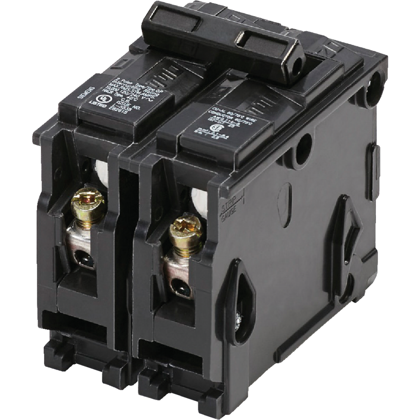Connecticut Electric 60A Double-Pole Standard Trip Interchangeable Packaged Circuit Breaker Image 1