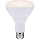 Satco 65W Equivalent Warm White BR30 Medium Dimmable LED Floodlight Light Bulb (6-Pack) Image 5