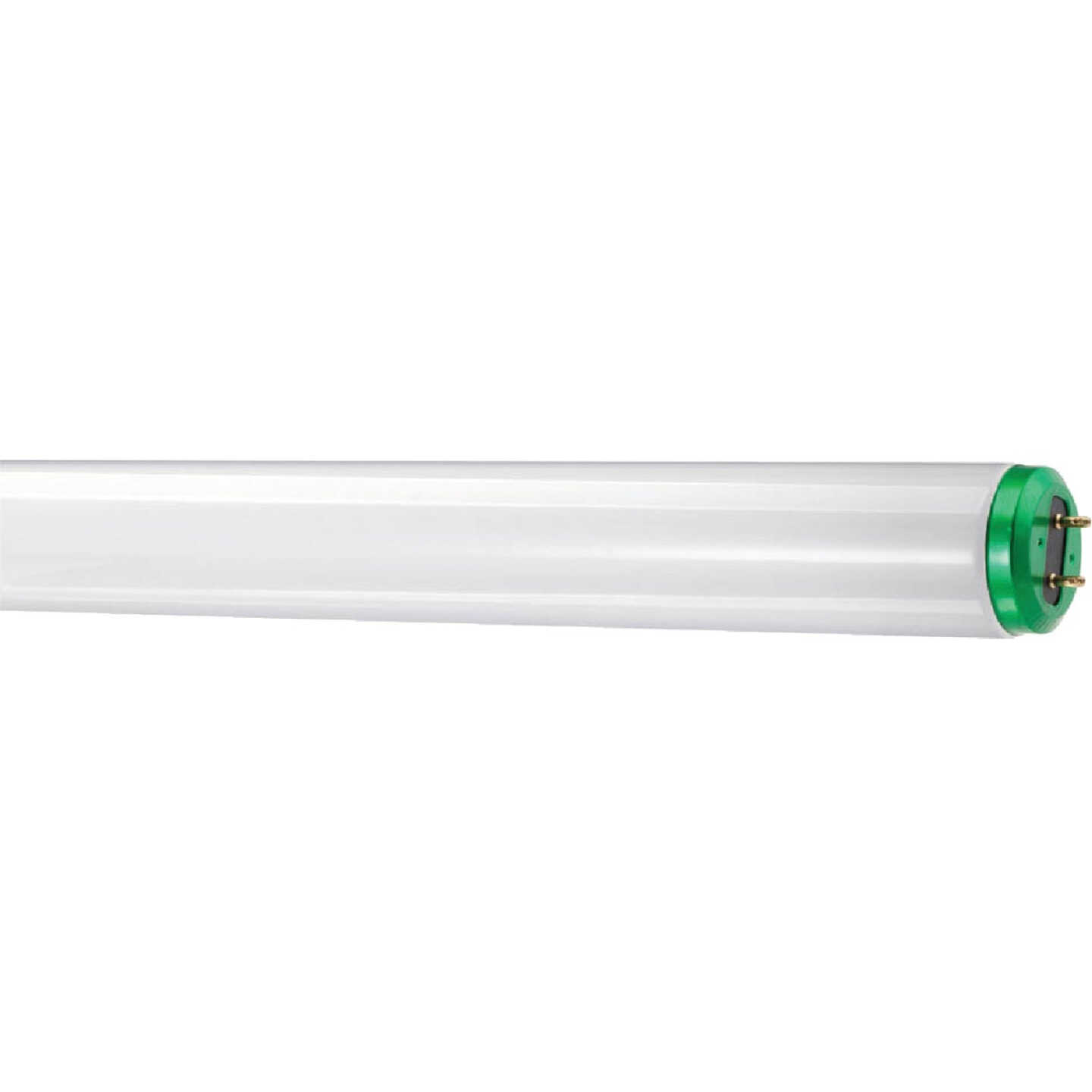 Philips ALTO 40W 48 In. Bright White T12 Medium Bi-Pin Fluorescent Tube Light Bulb (2-Pack) Image 1