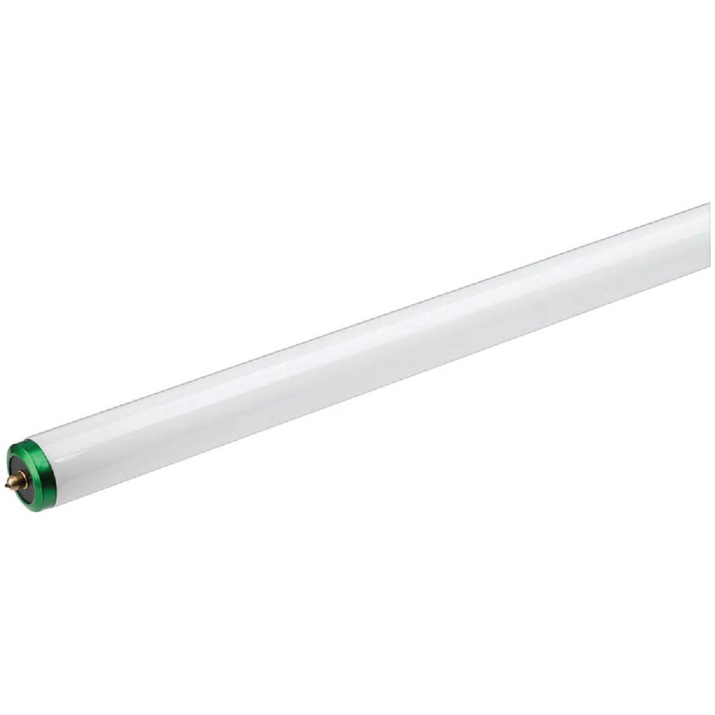 Philips 75W 96 In. Daylight T12 Single Pin Fluorescent Tube Light Bulb (2-Pack) Image 1