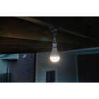 Nebo Blackout Backup Emergency LED Light Bulb Image 4