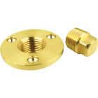 Seachoice 1/2 In. x 2 In. Garboard Drain Plug Image 1