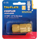 Tru-Flate Series Push-to-Connect 1/4 In. FNPT Coupler Image 2