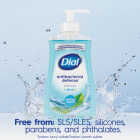 Dial Antibacterial Defense 11 Oz. Spring Water Liquid Hand Soap Image 5