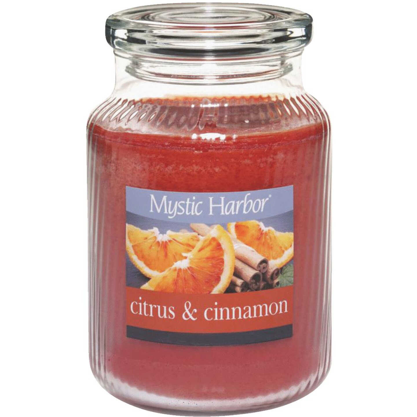 LRG CITRUS&CINAMN CANDLE Image 1