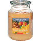 LRG HAWAIIAN FRUT CANDLE Image 1