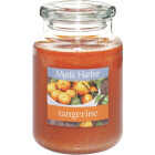 LRG TANGERINE CANDLE Image 1