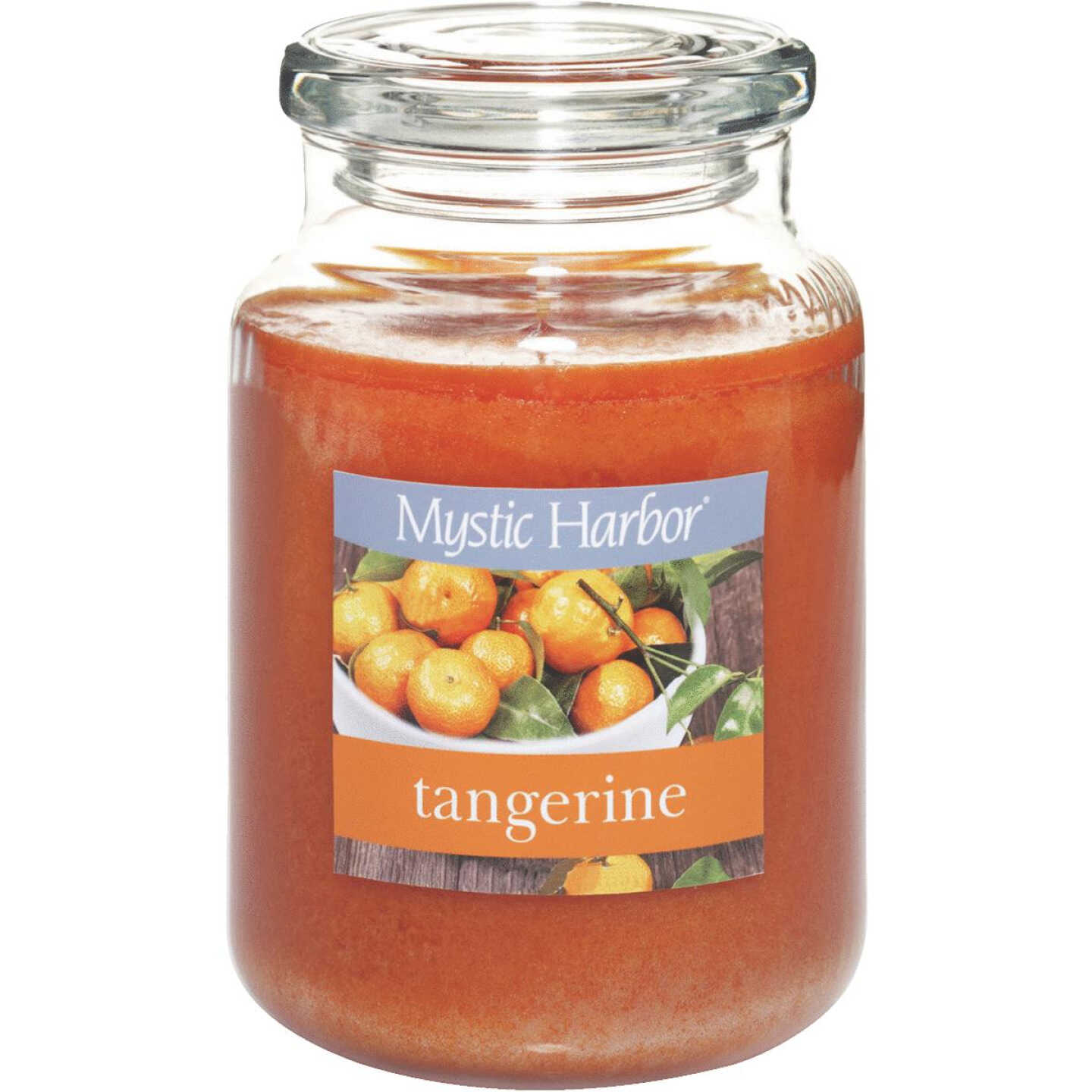 LRG TANGERINE CANDLE Image 1