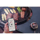 Weber iGrill2 Bluetooth Thermometer Image 3