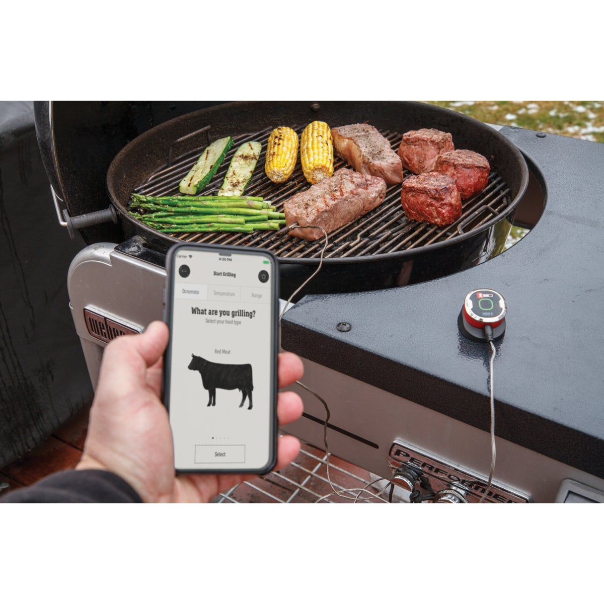Weber iGrill Mini Bluetooth Thermometer Image 3