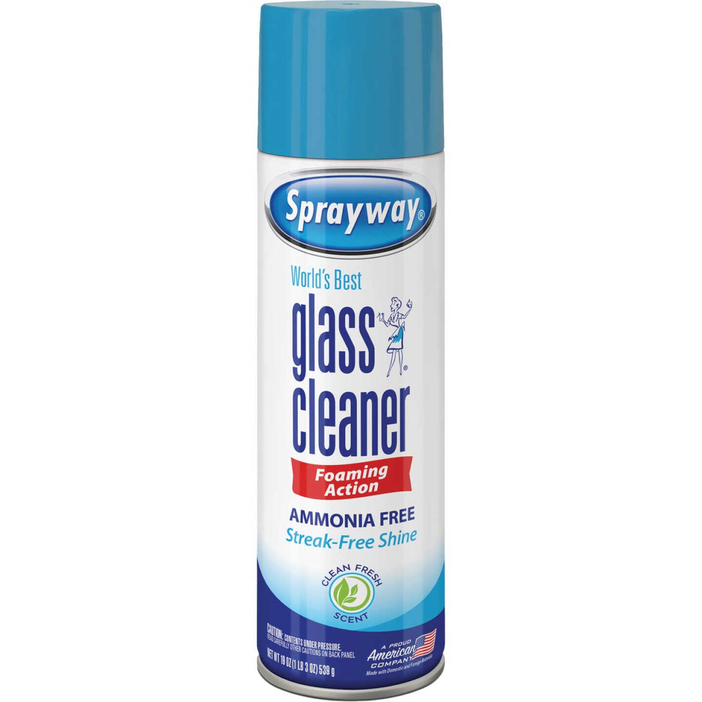 Sprayway 19 Oz. Glass & Surface Cleaner Image 1