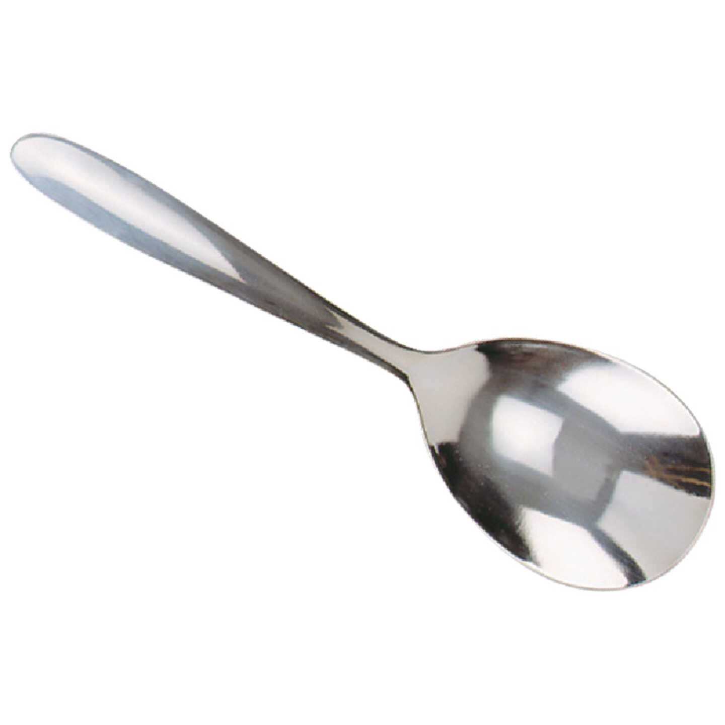 Norpro 9 In. Stainless Steel Serving Spoon Image 1
