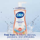Dial Antibacterial Defense 7.5 Oz. Citrus Sunburst + Aloe Foaming Hand Wash Image 6