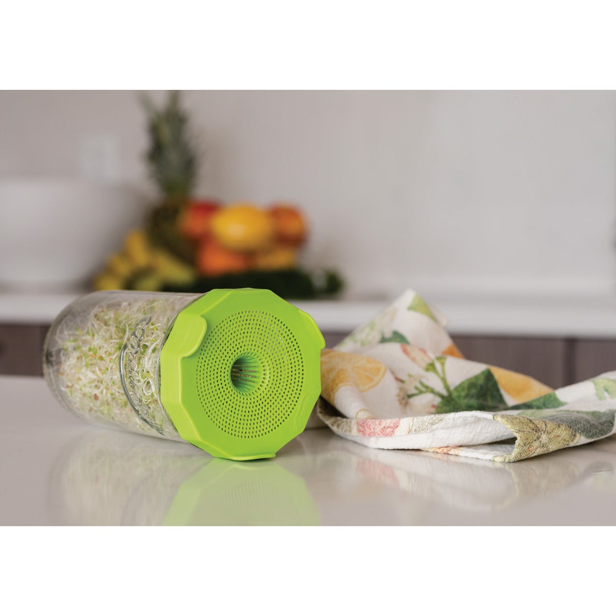 Masontops Wide Mouth Single Mason Jar Sprouting Kit Image 5