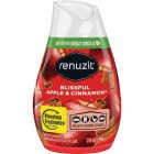 Renuzit 7 Oz. Apple Cinnamon Solid Air Freshener Image 1