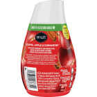 Renuzit 7 Oz. Apple Cinnamon Solid Air Freshener Image 6