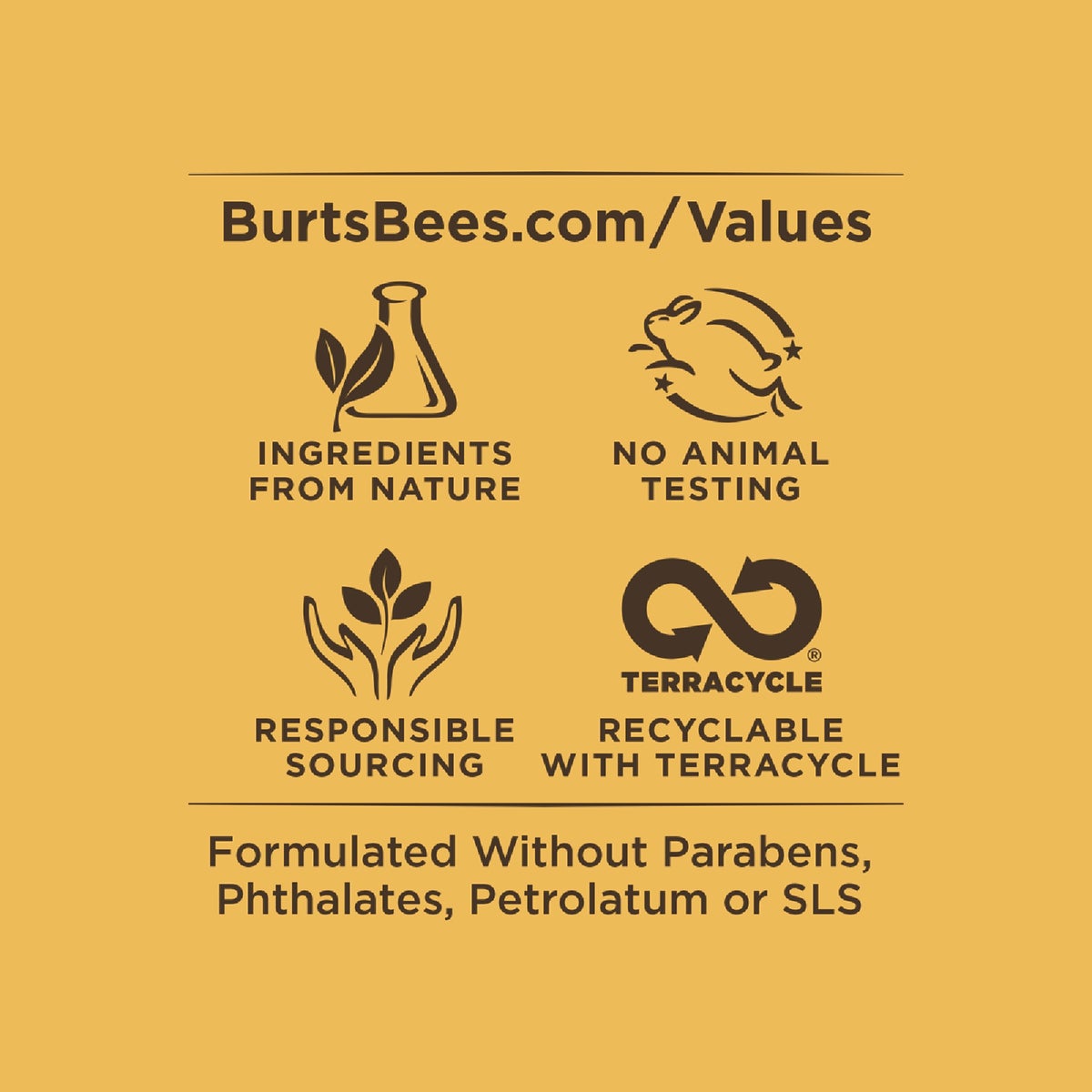 Burt's Bees Beeswax Lip Balm (Single Pack) Image 2