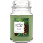 Yankee Candle 22 Oz. Balsam & Cedar Large Jar Candle Image 1